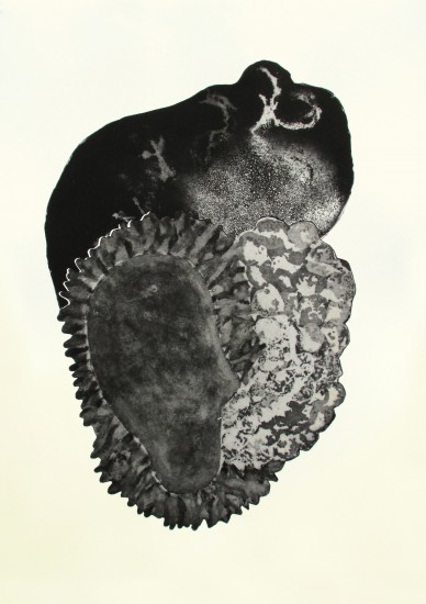 Naturelat XI | akwatinta, akwatinta zatapiana w werniks, odprysk | 66x96cm